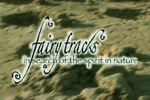 fairy tracks logo